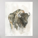 Suche nach amerikanischer bison poster Büffel