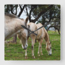 Suche nach stute wanduhren Tier