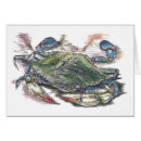 Suche nach wasserleben postkarten Salzwasser