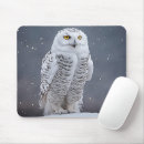 Suche nach weiße eule mousepads Winter