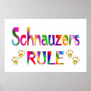 Suche nach schnauzers Tiere