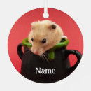 Suche nach hamster ornamente Maus