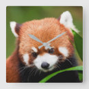 Suche nach roter panda wanduhren China