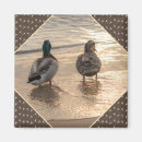 Suche nach vogelfotos magnete Vögel