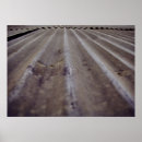 Suche nach gewölbt poster Blätter