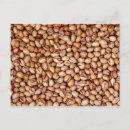 Suche nach brauner hintergrund postkarten Pflanze