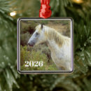 Suche nach wildpferde ornamente Pferdeliebhaber