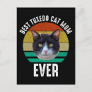Suche nach tuxedo postkarten Schwarzweißkatze