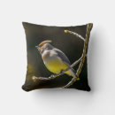 Suche nach singvogel kissen Wildvogel