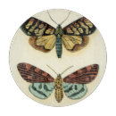 Suche nach die insekten schneidebrettchen Tiere