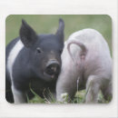 Suche nach ferkel mousepads Schwein