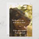 Suche nach schutzhund karten Hündchen