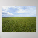 Suche nach reisfelder poster Landwirtschaft