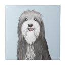 Suche nach collie fliesen Cartoon