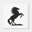 Suche nach schwarzer stallion Jede person