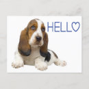 Suche nach basset hound postkarten Welpen