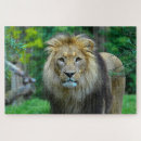 Suche nach dschungel puzzle Katze