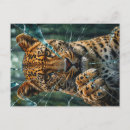 Suche nach leopard postkarten Punkte
