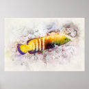 Suche nach fish poster Watercolor