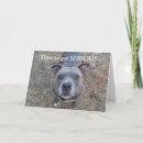 Suche nach ernsthaft karten Hund