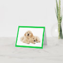 Suche nach blank karten Goldene retriever
