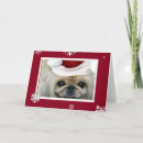 Suche nach pekinese Weihnachten
