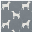 Suche nach coonhound Bluetick coonhound