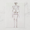 Suche nach skelette postkarten Herkunft