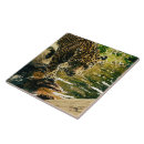 Suche nach umwelt fliesen Tiere