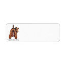Suche nach waliser terrier Airedale