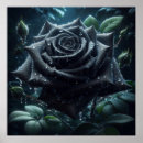 Suche nach rose schwarz poster Natur