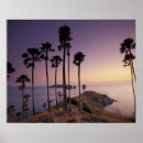Suche nach pracht poster Palme