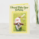 Suche nach große ohren postkarten Geburtstag