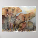 Suche nach bunter elefant poster Aquarell