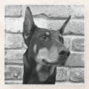 Suche nach funktionshunde küche speisen Dobermann
