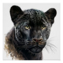 Suche nach panther poster Aquarell