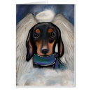 Suche nach hunde engel karten Regenbogenbrücke