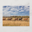 Suche nach adams horizontale postkarten Landschaft
