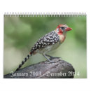 Suche nach calander kalender 2013