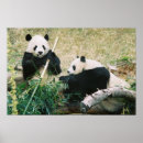 Suche nach tag april poster Umwelt