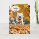 Suche nach herbstlaub karten Blätter