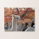 Suche nach alpaka puzzle Jede person