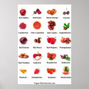 Suche nach rotes gemüse poster Obst