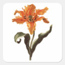 Suche nach bauch aufkleber Blumenreich
