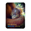 Suche nach orang utans magnete Niedlich