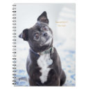 Suche nach doge kleine notizbücher Für haustiere