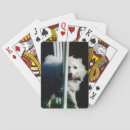 Suche nach spinnen spielkarten Poker