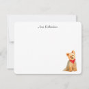 Suche nach yorkies Jede person