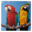 Suche nach ara fliesen Tiere