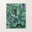 Suche nach hufeisen puzzle Jede person
